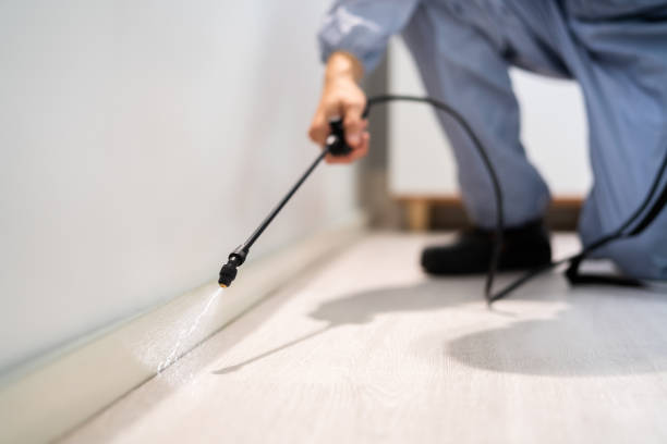 Licensed Pest Control service in Hudsonville, MI - Show Me Pest Control