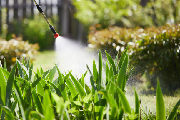 24/7 Emergency Mosquito Control experts in Hudsonville, MI