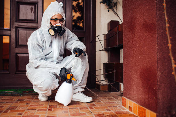 Reliable Mosquito Control contractor in Hudsonville, MI by Show Me Pest Control